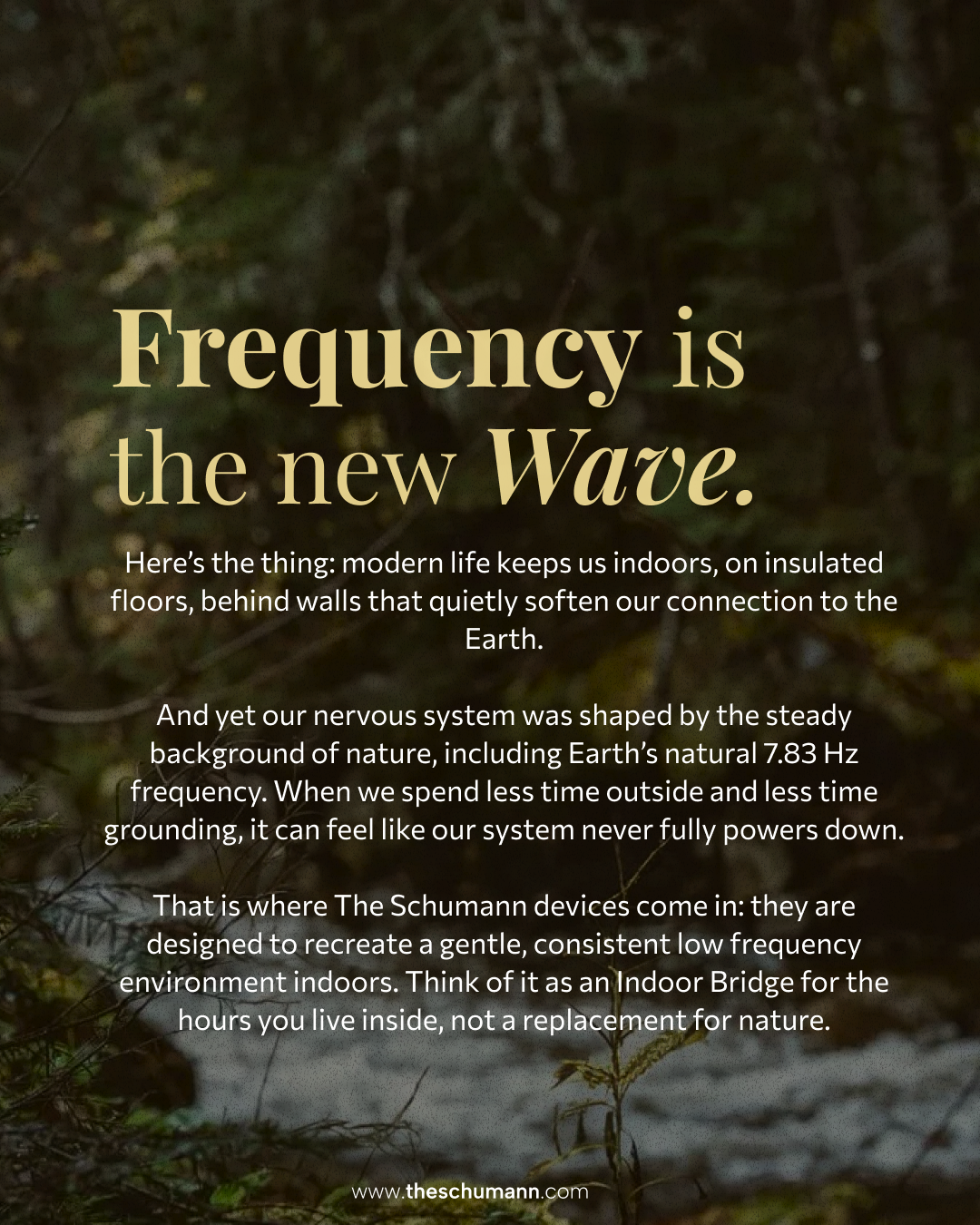 The Schumann brand visual